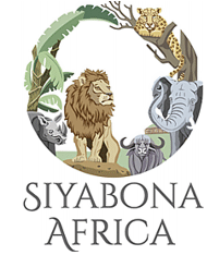 http://gauteng.hotelguide.co.za
